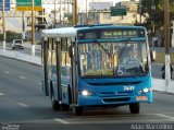 Bettania Ônibus 7449 na cidade de Belo Horizonte, Minas Gerais, Brasil, por Adão Raimundo Marcelino. Número da foto: #1377287.