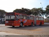 Rodo Luz 1008 na cidade de Umuarama, Paraná, Brasil, por Reinaldo Penha. Número da foto: #1329724.