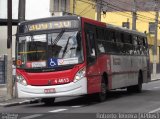 Nova Aliança  4 > Empresa de Transportes Novo Horizonte 4 4613 na cidade de São Paulo, São Paulo, Brasil, por Roberto Teixeira. Número da foto: #1379018.
