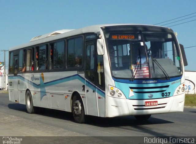 Transporte Tropical 037 na cidade de Maceió, Alagoas, Brasil, por Rodrigo Fonseca. ID da foto: 1401500.