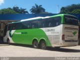 Pássaro Verde 28035 na cidade de Ubá, Minas Gerais, Brasil, por Christian  Fortunato. Número da foto: #:id.