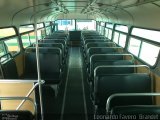 Ônibus Particulares PAPA-FILA na cidade de São Paulo, São Paulo, Brasil, por Leonardo Fávero  Brandet. Número da foto: #1401605.