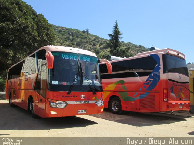 Pullman Bus  na cidade de , por Diego Alarcon. Número da foto: #1407108.