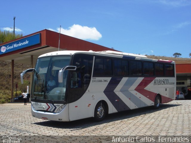 Hibisco Turismo 600 na cidade de João Monlevade, Minas Gerais, Brasil, por Antonio Carlos Fernandes. Número da foto: #1407592.