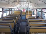 Ônibus Particulares PAPA-FILA na cidade de São Paulo, São Paulo, Brasil, por Jackson Sousa Leite. Número da foto: #1407534.