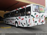 Empresa Auto Viação Santa Rosa 45 na cidade de Pelotas, Rio Grande do Sul, Brasil, por Wellerson Leal. Número da foto: #:id.