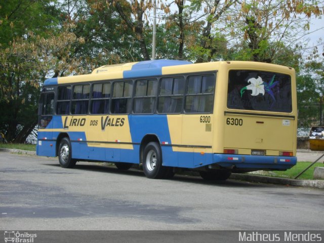Viação Lírio dos Vales 6300 na cidade de Vitória, Espírito Santo, Brasil, por Matheus Mendes. Número da foto: #1414823.