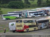 Viação Pássaro Livre 2009 na cidade de São Paulo, São Paulo, Brasil, por EDUARDO - SOROCABUS. Número da foto: #1381025.