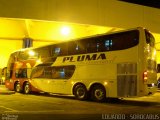 Pluma Conforto e Turismo 7006 na cidade de Sorocaba, São Paulo, Brasil, por EDUARDO - SOROCABUS. Número da foto: #1422684.