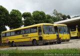 Viação Itapemirim 30175 na cidade de Cariacica, Espírito Santo, Brasil, por Gilberto Martins. Número da foto: #1426643.