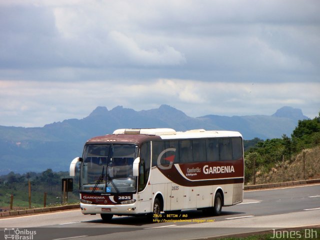 Expresso Gardenia 2825 na cidade de Betim, Minas Gerais, Brasil, por Jones Bh. Número da foto: #1429954.