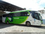 Pássaro Verde 11091 na cidade de Além Paraíba, Minas Gerais, Brasil, por Rodrigo Fernades. Número da foto: #1437314.