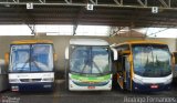Viação Progresso 28150 na cidade de Além Paraíba, Minas Gerais, Brasil, por Rodrigo Fernades. Número da foto: #1438607.