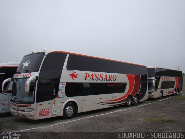 Pássaro Prata Transportadora Turística 9725 na cidade de São Paulo, São Paulo, Brasil, por EDUARDO - SOROCABUS. Número da foto: #1382697.