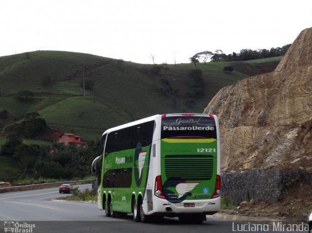 Pássaro Verde 12121 na cidade de São Geraldo, Minas Gerais, Brasil, por Luciano Miranda. Número da foto: #1386215.