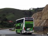 Pássaro Verde 12121 na cidade de São Geraldo, Minas Gerais, Brasil, por Luciano Miranda. Número da foto: #1386215.