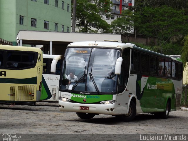 Pássaro Verde 27008 na cidade de Viçosa, Minas Gerais, Brasil, por Luciano Miranda. Número da foto: #1388358.