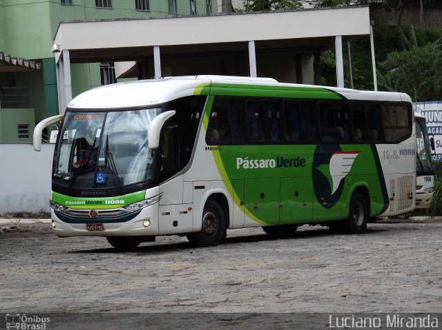 Pássaro Verde 11088 na cidade de Viçosa, Minas Gerais, Brasil, por Luciano Miranda. ID da foto: 1388352.