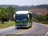 Pássaro Verde 1045 na cidade de Rio Casca, Minas Gerais, Brasil, por Emerson Matias de Oliveira Santos. Número da foto: #:id.