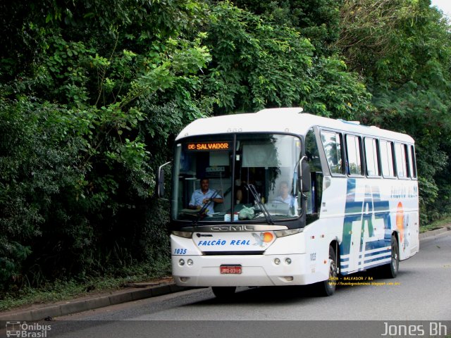 Falcão Real 1035 na cidade de Salvador, Bahia, Brasil, por Jones Bh. ID da foto: 1393362.