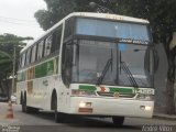 Cia. São Geraldo de Viação 11420 na cidade de Rio de Janeiro, Rio de Janeiro, Brasil, por André Vitor  Silva dos Santos. Número da foto: #1392714.