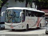 Paraibuna Transportes 20020 na cidade de Rio de Janeiro, Rio de Janeiro, Brasil, por Renan Vieira. Número da foto: #1395319.