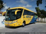 Henritur 4803 na cidade de Parnamirim, Rio Grande do Norte, Brasil, por Nícolas Vitorino Lopes. Número da foto: #1463209.