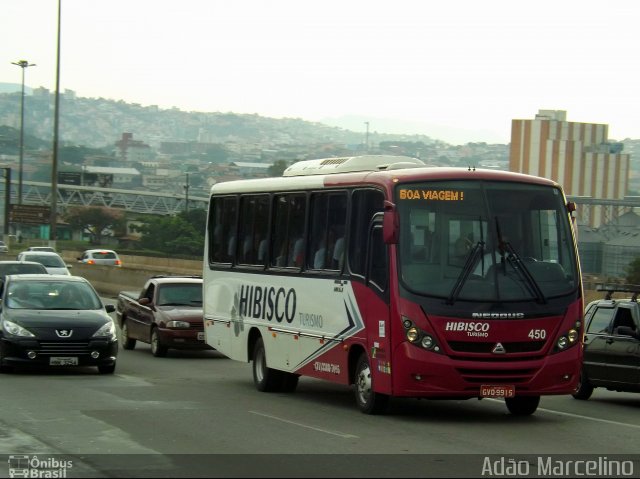 Hibisco Turismo 450 na cidade de Belo Horizonte, Minas Gerais, Brasil, por Adão Raimundo Marcelino. Número da foto: #1468427.