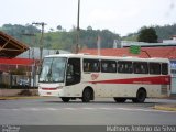Empresa de Ônibus Pássaro Marron 7901 na cidade de Itajubá, Minas Gerais, Brasil, por Matheus Antonio da Silva. Número da foto: #1471299.