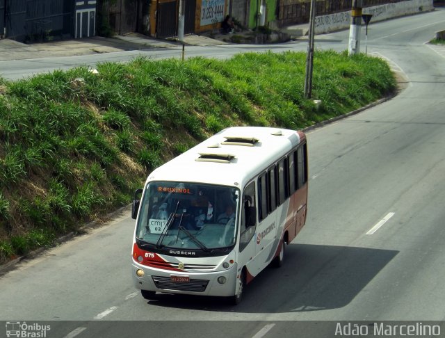 Rouxinol 875 na cidade de Belo Horizonte, Minas Gerais, Brasil, por Adão Raimundo Marcelino. ID da foto: 1476402.