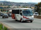 Rouxinol 135 na cidade de Belo Horizonte, Minas Gerais, Brasil, por Adão Raimundo Marcelino. Número da foto: #1476464.