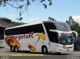 Borgetur 4040 na cidade de Curitiba, Paraná, Brasil, por Paulo Roberto Chulis. Número da foto: #1476490.