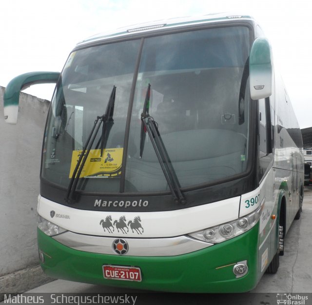 Trans Poney 3907 na cidade de São Vicente, São Paulo, Brasil, por Matheus  Scheguschewsky. Número da foto: #1444440.