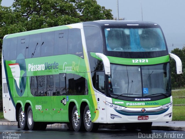 Pássaro Verde 12121 na cidade de Brasília, Distrito Federal, Brasil, por Douglas Andrez. Número da foto: #1479520.