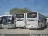 Viação Cidade Sol 3220 na cidade de Vitória da Conquista, Bahia, Brasil, por Diego Charlis Coelho. Número da foto: #1479400.