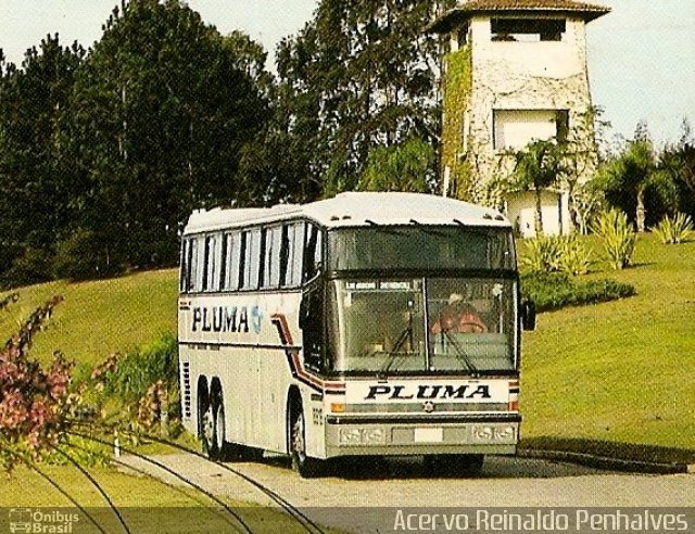 Pluma Conforto e Turismo 8919 na cidade de , por Reinaldo Penha. Número da foto: #1481718.