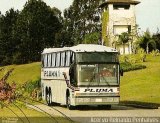 Pluma Conforto e Turismo 8919 na cidade de , por Reinaldo Penha. Número da foto: #1481718.