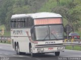 Pluma Conforto e Turismo 3046 na cidade de Queimados, Rio de Janeiro, Brasil, por Sidcley Lourenço. Número da foto: #1486442.