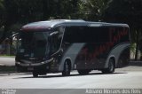 Transline 906 na cidade de Bauru, São Paulo, Brasil, por Adriano Moraes dos Reis. Número da foto: #1494734.