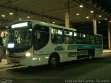 VIDA - Viação Danúbio Azul 09008 na cidade de Cotia, São Paulo, Brasil, por Leonardo Fávero  Brandet. Número da foto: #1447027.