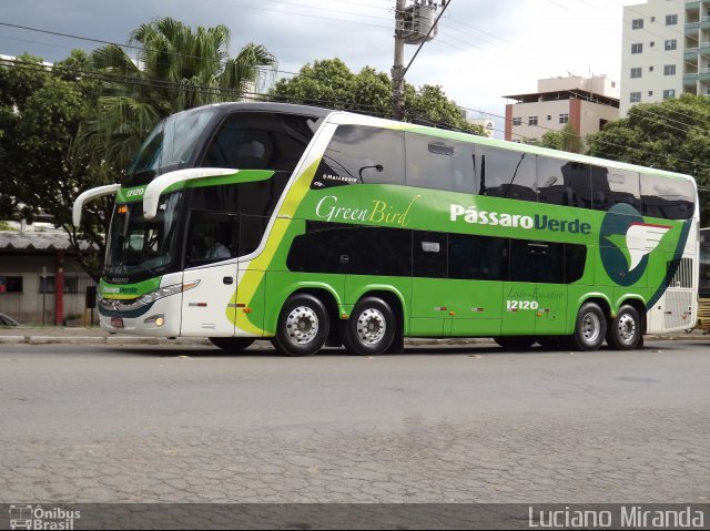 Pássaro Verde 12120 na cidade de Viçosa, Minas Gerais, Brasil, por Luciano Miranda. ID da foto: 1450125.