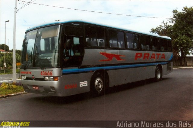 Expresso de Prata 43666 na cidade de Bauru, São Paulo, Brasil, por Adriano Moraes dos Reis. Número da foto: #1448640.