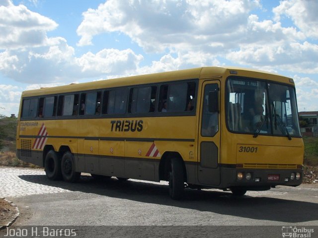 Viação Itapemirim 31001 na cidade de Caruaru, Pernambuco, Brasil, por Alessandro de Bem Barros. Número da foto: #1451973.