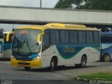 Brasil SA Transporte e Turismo 045 na cidade de Campos dos Goytacazes, Rio de Janeiro, Brasil, por Renan Vieira. Número da foto: #823213.