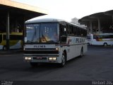Pluma Conforto e Turismo 3175 na cidade de Porto Alegre, Rio Grande do Sul, Brasil, por Herbert Zils. Número da foto: #841131.