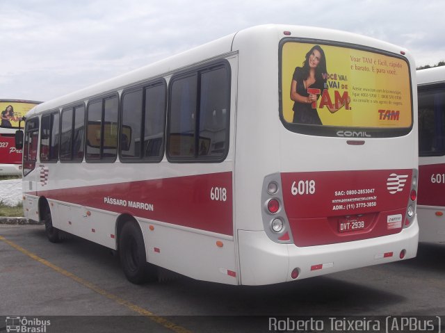 Empresa de Ônibus Pássaro Marron 6018 na cidade de Guaratinguetá, São Paulo, Brasil, por Roberto Teixeira. ID da foto: 845708.