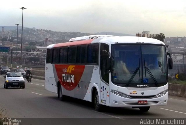 Viação Triunfo 1284 na cidade de Belo Horizonte, Minas Gerais, Brasil, por Adão Raimundo Marcelino. ID da foto: 847855.