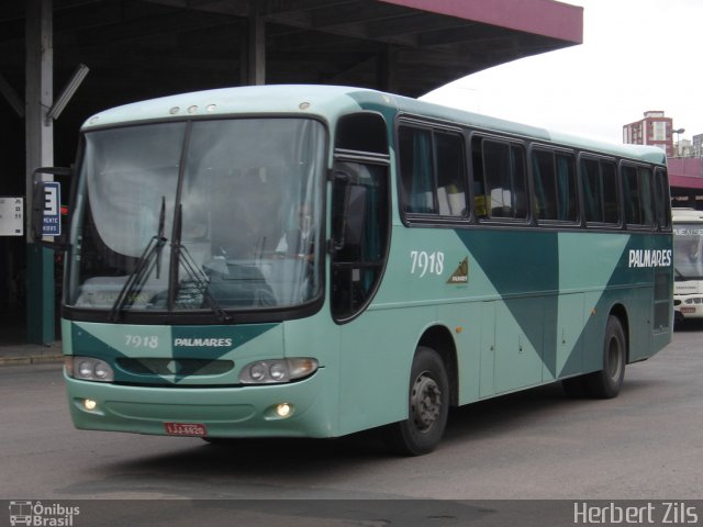 Expresso Palmares 7918 na cidade de Porto Alegre, Rio Grande do Sul, Brasil, por Herbert Zils. Número da foto: #846865.