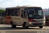Rouxinol 848 na cidade de Belo Horizonte, Minas Gerais, Brasil, por Adão Raimundo Marcelino. Número da foto: #847907.