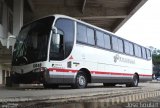 Paraibuna Transportes 11048 na cidade de Muriaé, Minas Gerais, Brasil, por José Goulart. Número da foto: #:id.